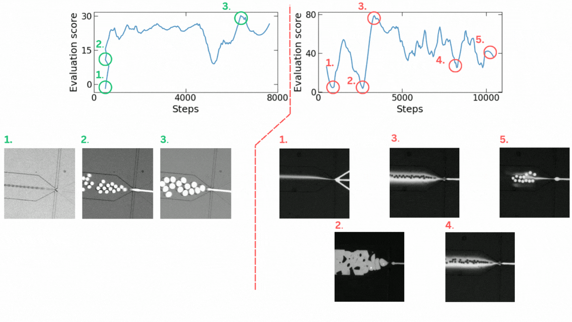 Reinforcement-learning evaluation trajectories paired with microscope observations of successful and failed microfluidic states
