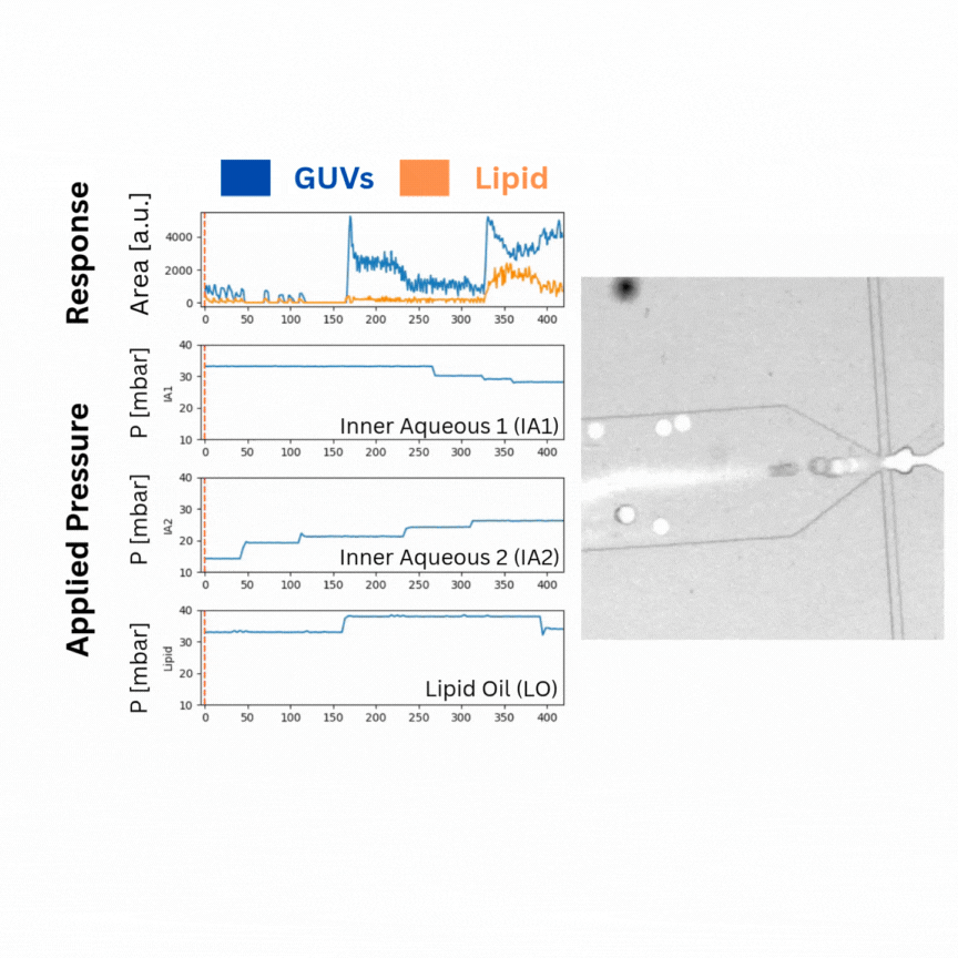 Synchronized microfluidic microscope video, image-derived response measurements and applied pressure commands