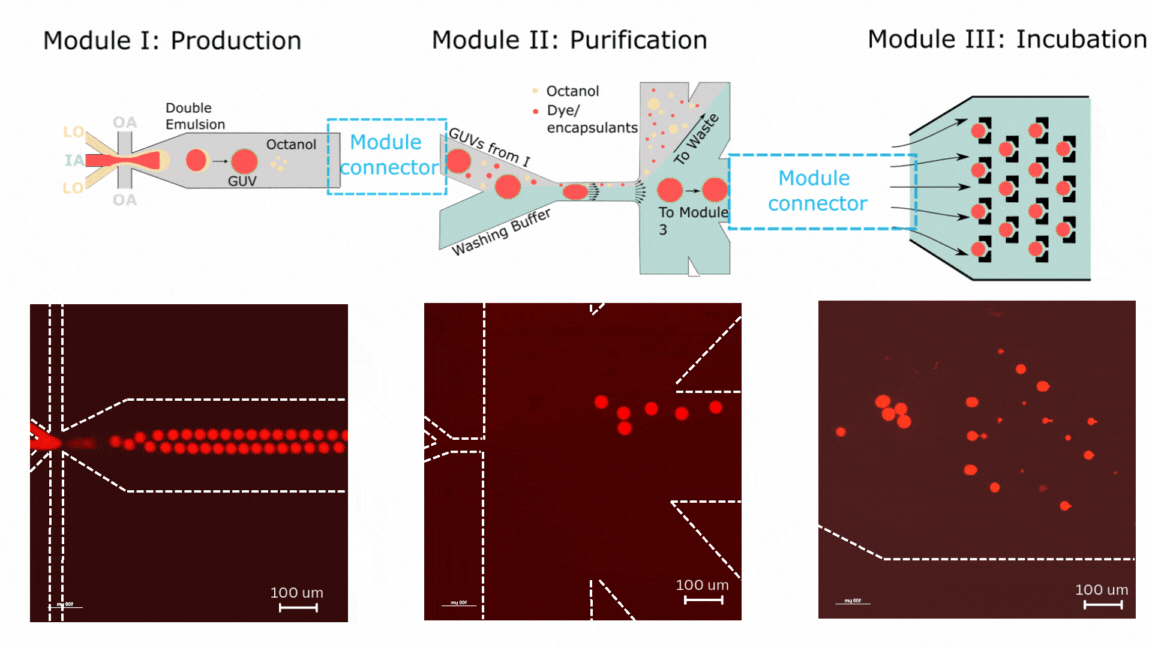 Connected microfluidic pipeline