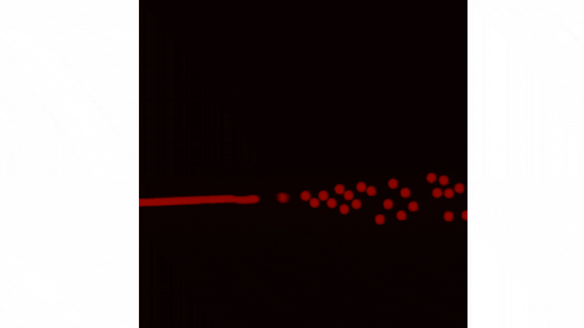 Flow cytometry pipeline