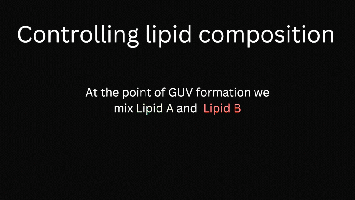 Lipid mixing